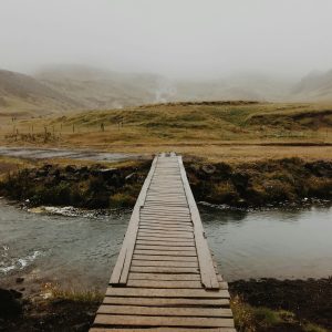 pexels-mark-neal-201020-2725445