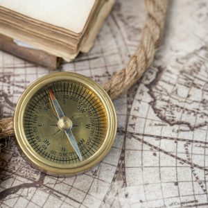 pexels-nietjuhart-14436275